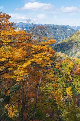 光霧山景區之魅力探討：哪些景點不可錯過